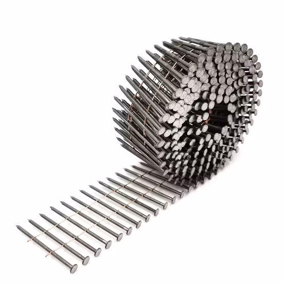 Titanium Sports Fasteners Intrameduilary Nail